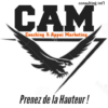 CAM consulting international